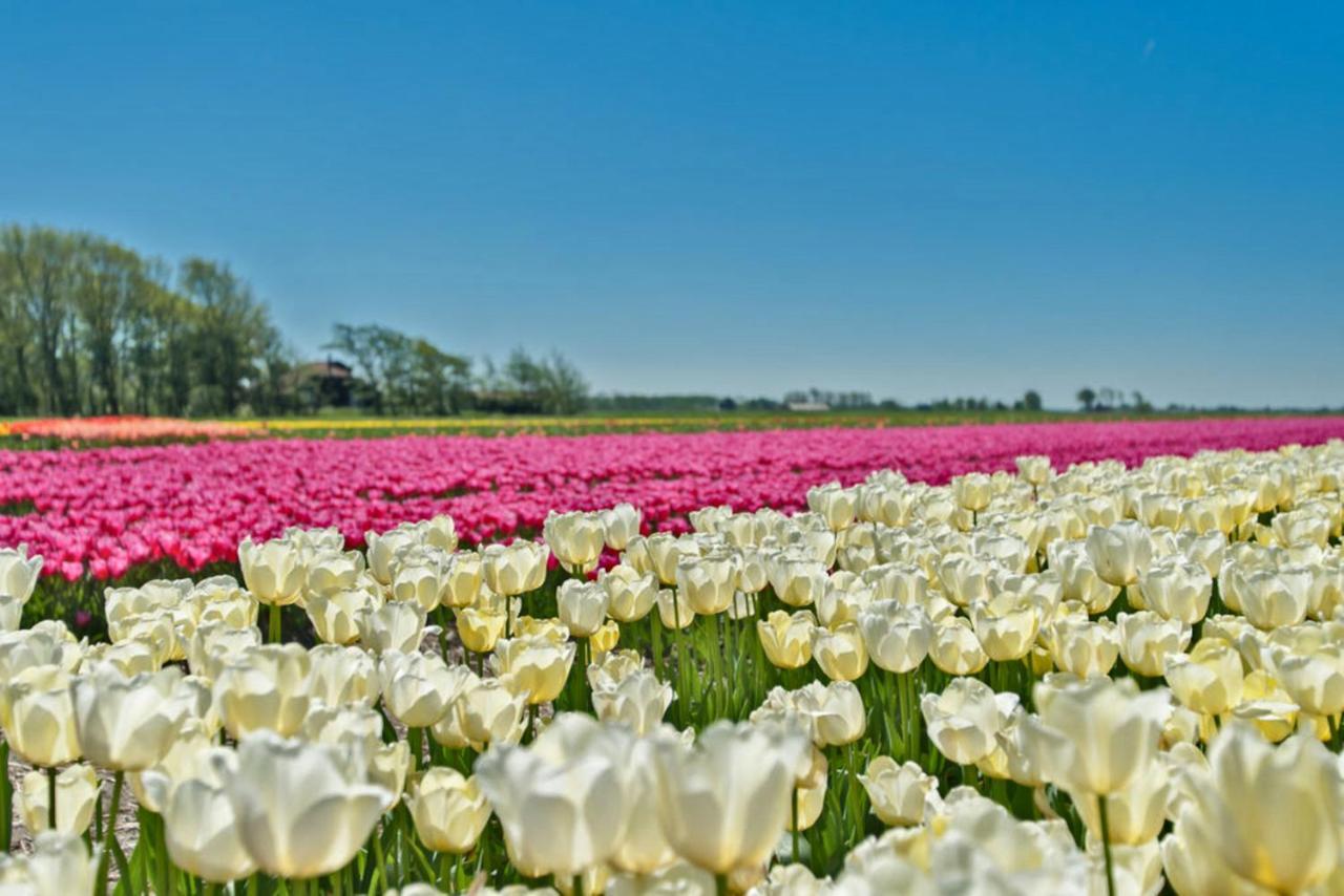 Villa Prinsenhof # Vijfentwintig Bergen Ngoại thất bức ảnh